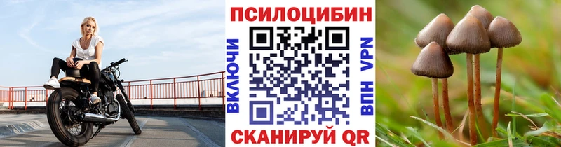 Галлюциногенные грибы мухоморы  Ядрин 